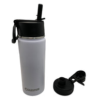Stainless Steel Double-Insulated Water Bottle with Flip Top and Wide Mouth Lid